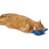 kitty-cuddle-pal-305_1623982808